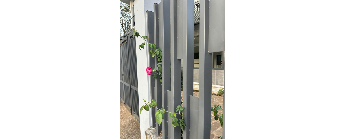 NHÀ CÔ CẨM KM123 TÂN PHÚ ĐỒNG NAI