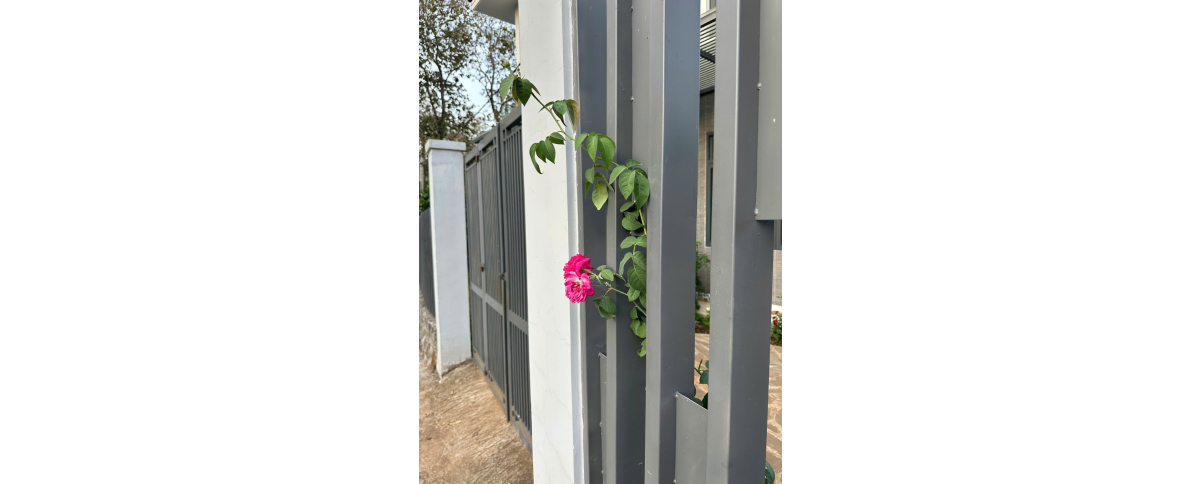 NHÀ CÔ CẨM KM123 TÂN PHÚ ĐỒNG NAI