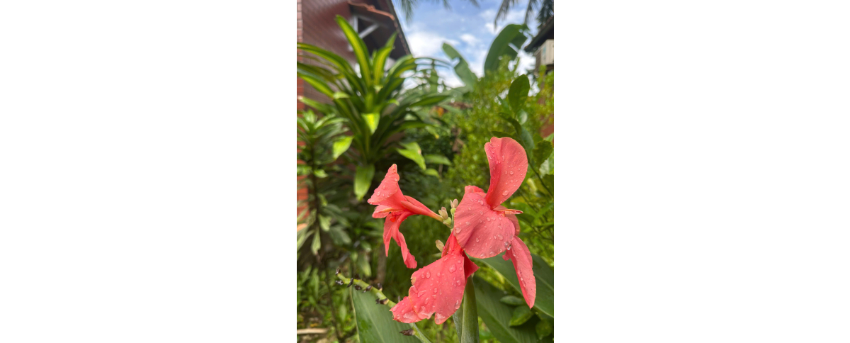 🌿 NHÀ NGHỈ THỦY TIÊN ECOLODGE