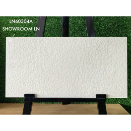 LN-60304A