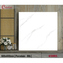 CTL-65001