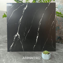 A88NM1902