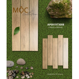 AP090973008