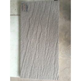 CTGS3606