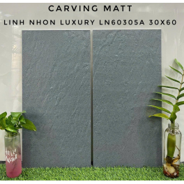 LN-60305A