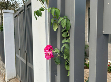 NHÀ CÔ CẨM KM123 TÂN PHÚ ĐỒNG NAI
