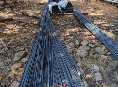 🌿 NHÀ NGHỈ THỦY TIÊN ECOLODGE