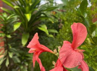 🌿 NHÀ NGHỈ THỦY TIÊN ECOLODGE