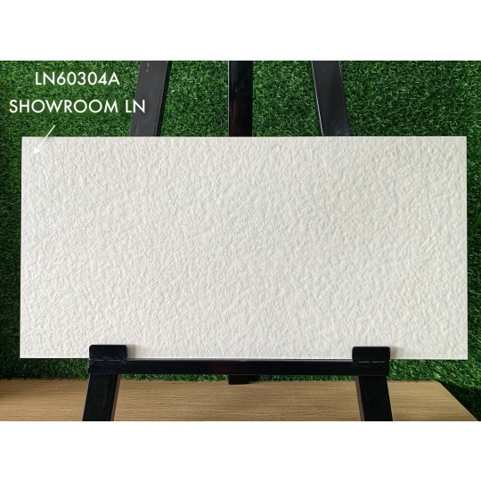 LN-60304A