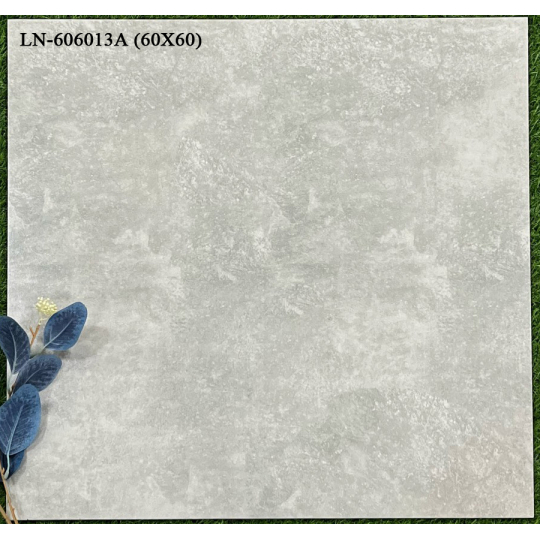 LN-606013A 
