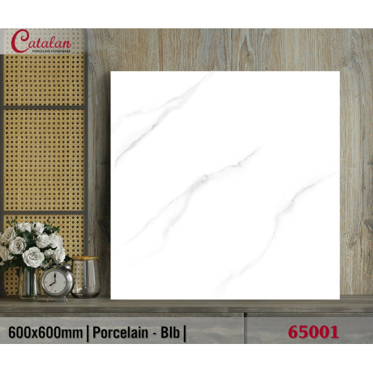 CTL-65001