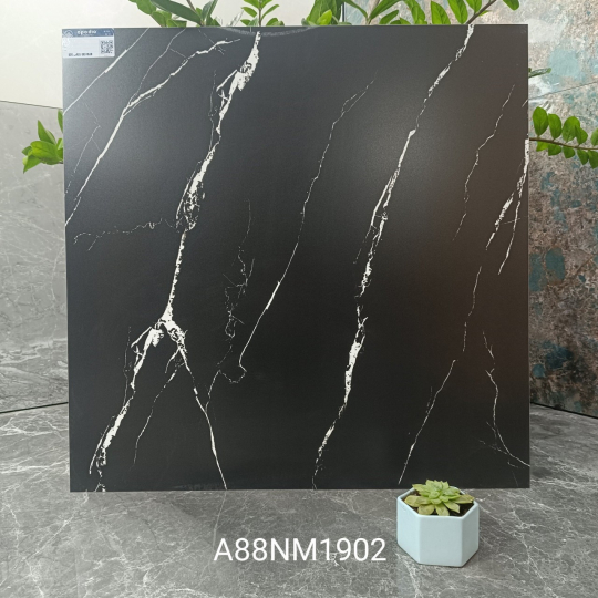 A88NM1902