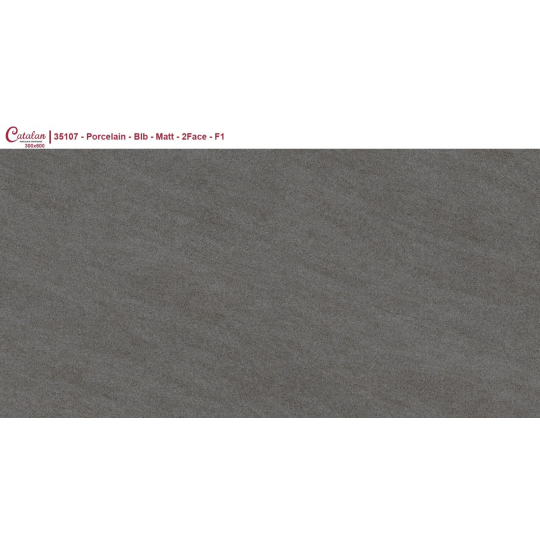 CTL-35107